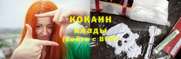 прущая мука Арсеньев