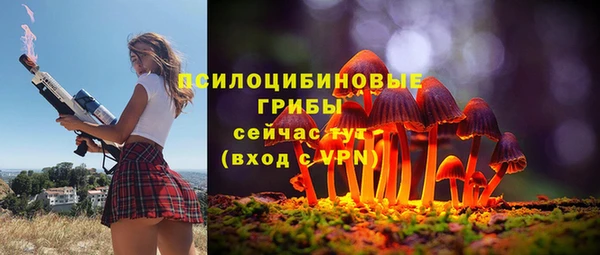 трава Аркадак